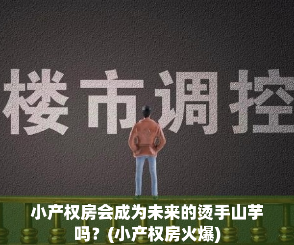 小产权房会成为未来的烫手山芋吗？(小产权房火爆)