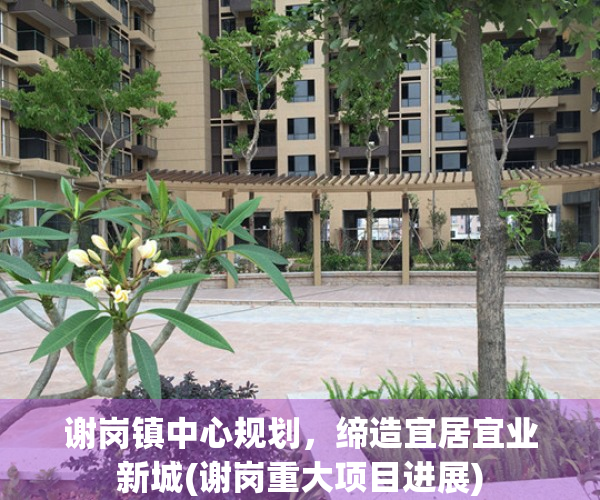谢岗镇中心规划，缔造宜居宜业新城(谢岗重大项目进展)