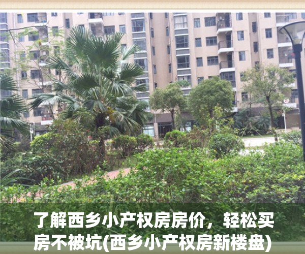 了解西乡小产权房房价，轻松买房不被坑(西乡小产权房新楼盘)