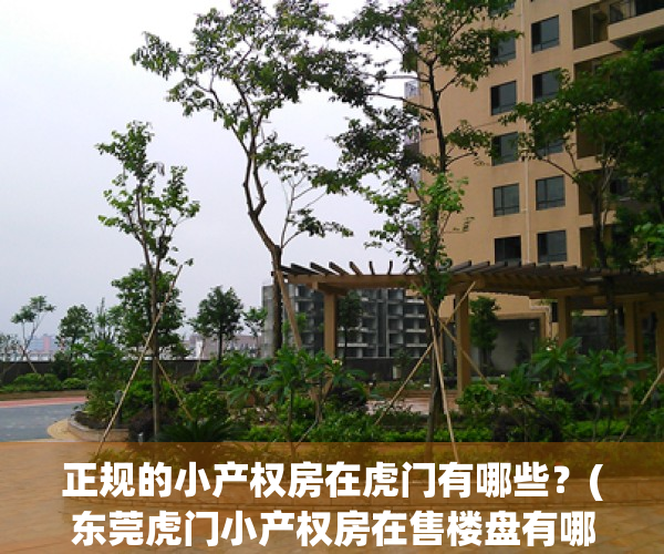 正规的小产权房在虎门有哪些？(东莞虎门小产权房在售楼盘有哪些?)