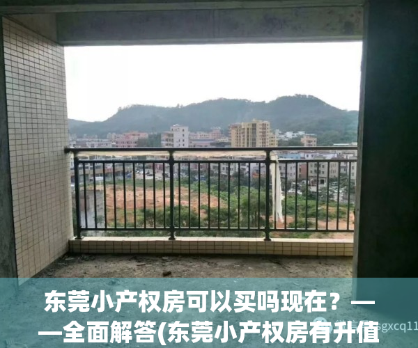 东莞小产权房可以买吗现在？——全面解答(东莞小产权房有升值空间吗?)