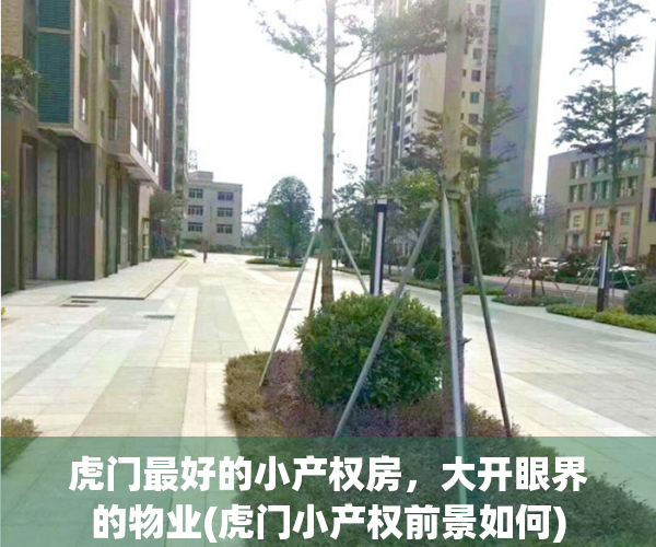 虎门最好的小产权房，大开眼界的物业(虎门小产权前景如何)