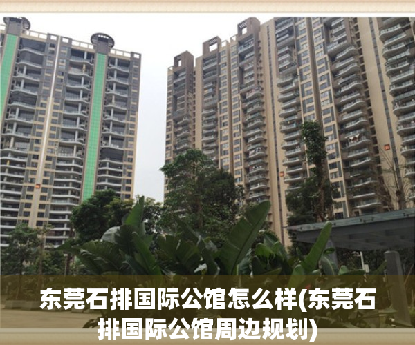 东莞石排国际公馆怎么样(东莞石排国际公馆周边规划)