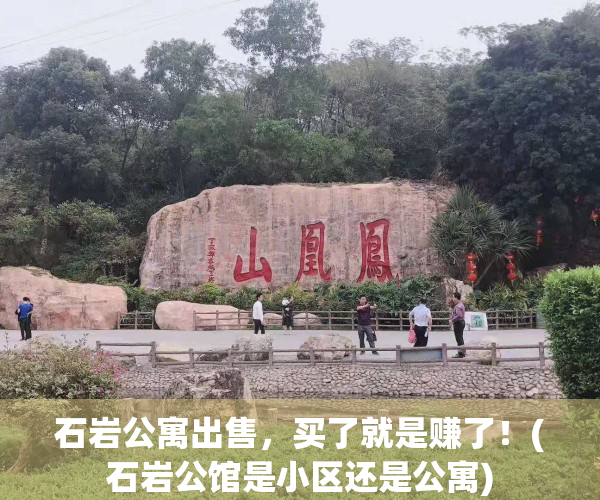 石岩公寓出售，买了就是赚了！(石岩公馆是小区还是公寓)