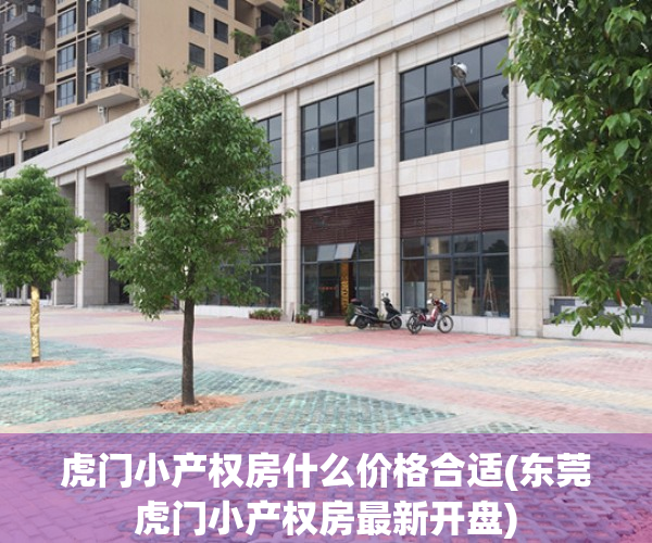 虎门小产权房什么价格合适(东莞虎门小产权房最新开盘)