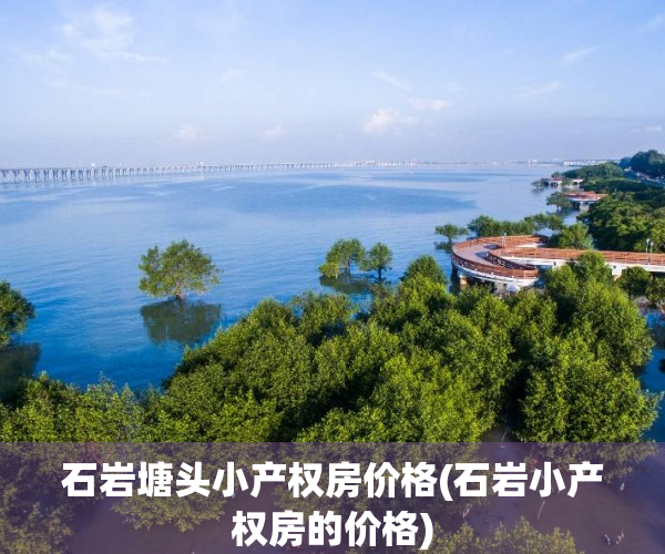 石岩塘头小产权房价格(石岩小产权房的价格)
