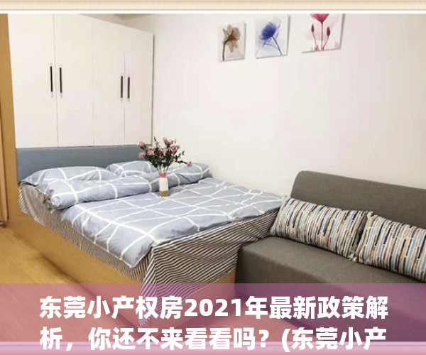 东莞小产权房2021年最新政策解析，你还不来看看吗？(东莞小产权房信息网)