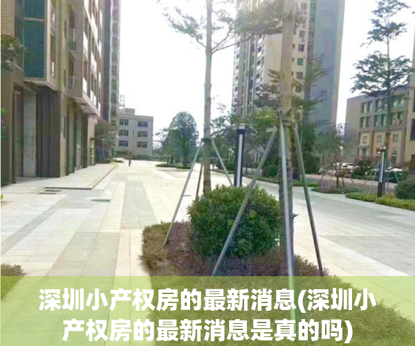 深圳小产权房的最新消息(深圳小产权房的最新消息是真的吗)