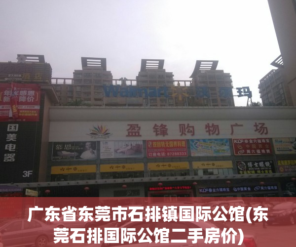 广东省东莞市石排镇国际公馆(东莞石排国际公馆二手房价)