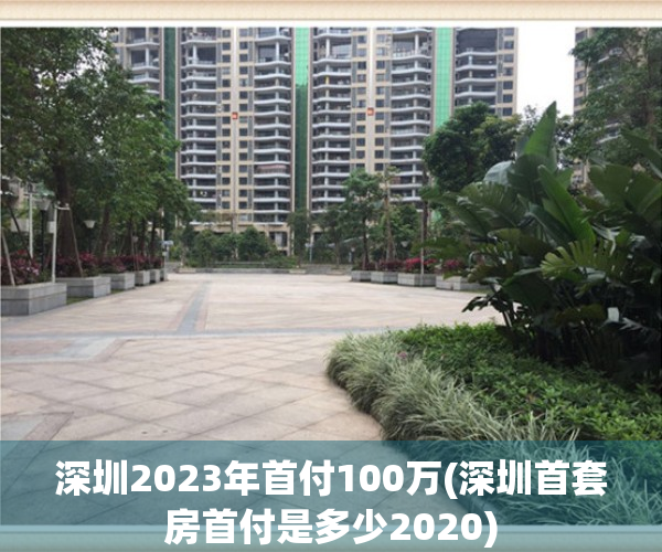 深圳2023年首付100万(深圳首套房首付是多少2020)