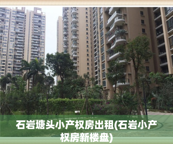石岩塘头小产权房出租(石岩小产权房新楼盘)
