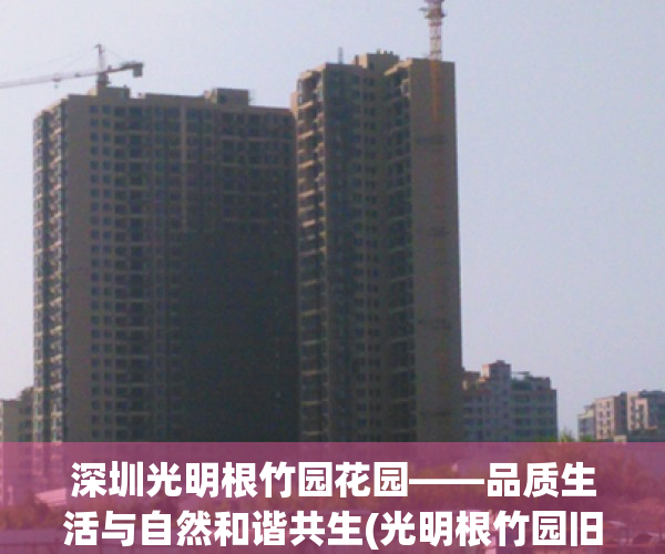深圳光明根竹园花园——品质生活与自然和谐共生(光明根竹园旧改)