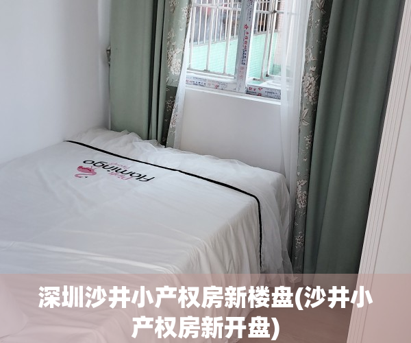 深圳沙井小产权房新楼盘(沙井小产权房新开盘)