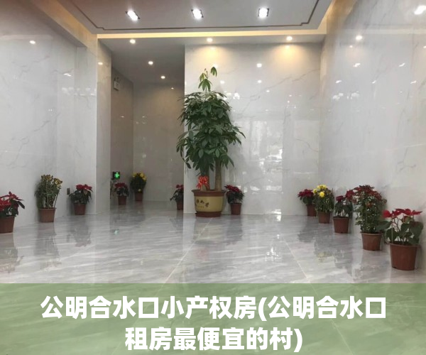 公明合水口小产权房(公明合水口租房最便宜的村)