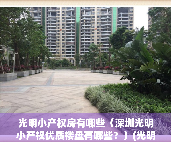 光明小产权房有哪些（深圳光明小产权优质楼盘有哪些？）(光明小产权房出售新房)