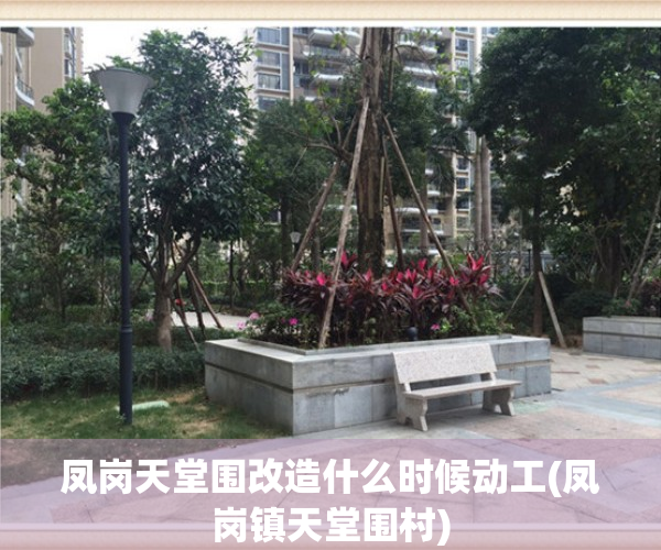 凤岗天堂围改造什么时候动工(凤岗镇天堂围村)