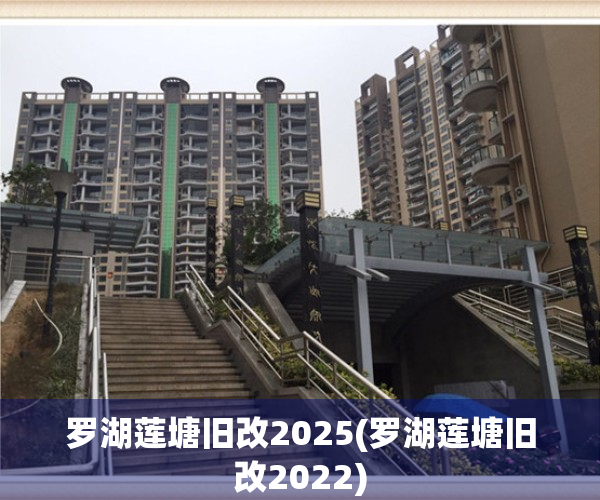罗湖莲塘旧改2025(罗湖莲塘旧改2022)