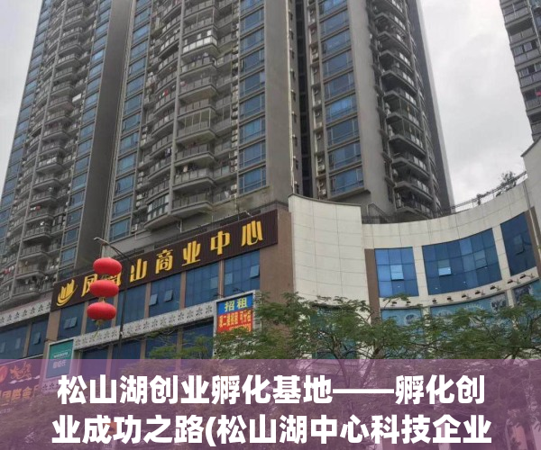 松山湖创业孵化基地——孵化创业成功之路(松山湖中心科技企业创业园)