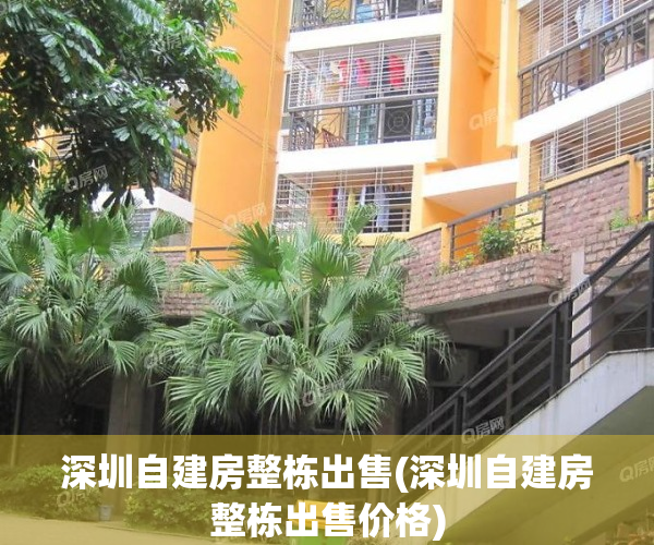 深圳自建房整栋出售(深圳自建房整栋出售价格)
