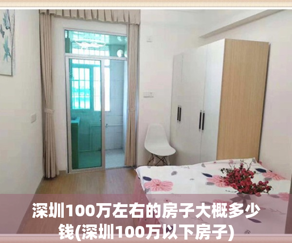 深圳100万左右的房子大概多少钱(深圳100万以下房子)