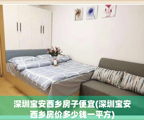 深圳宝安西乡房子便宜(深圳宝安西乡房价多少钱一平方)