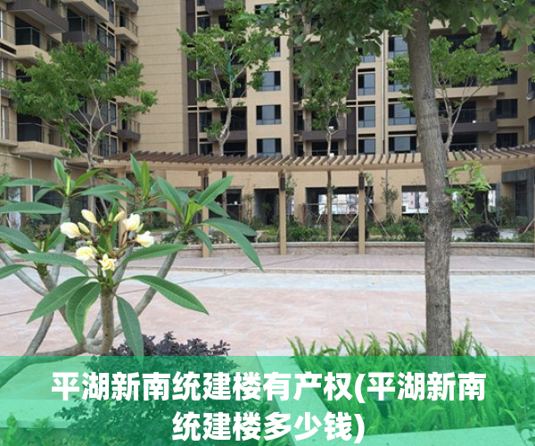 平湖新南统建楼有产权(平湖新南统建楼多少钱)