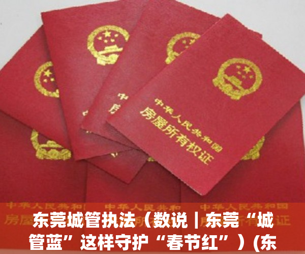 东莞城管执法（数说｜东莞“城管蓝”这样守护“春节红”）(东莞城管执法局)