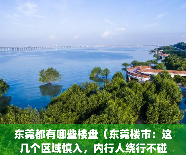 东莞都有哪些楼盘（东莞楼市：这几个区域慎入，内行人绕行不碰）(东莞市区有哪些新楼盘)