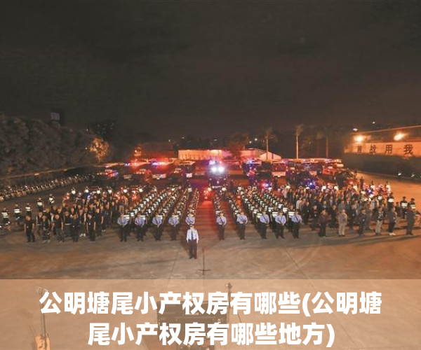 公明塘尾小产权房有哪些(公明塘尾小产权房有哪些地方)