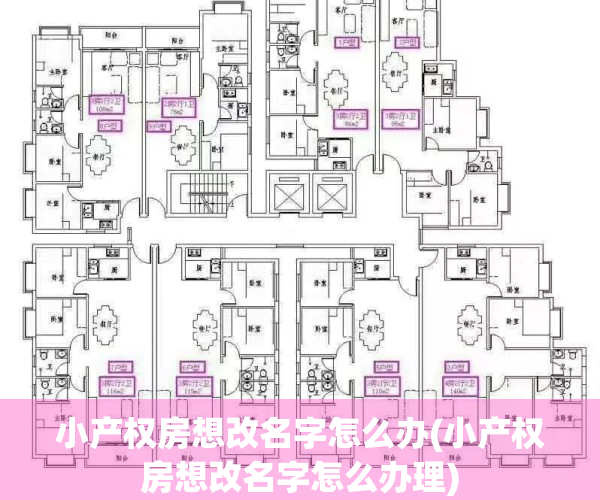 小产权房想改名字怎么办(小产权房想改名字怎么办理)