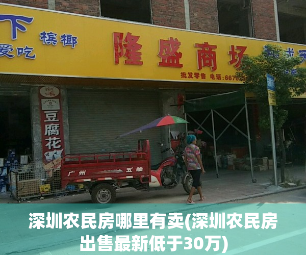 深圳农民房哪里有卖(深圳农民房出售最新低于30万)