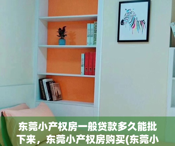 东莞小产权房一般贷款多久能批下来，东莞小产权房购买(东莞小产权房购买注意事项)