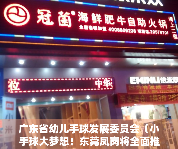 广东省幼儿手球发展委员会（小手球大梦想！东莞凤岗将全面推广幼儿手球普及工作）