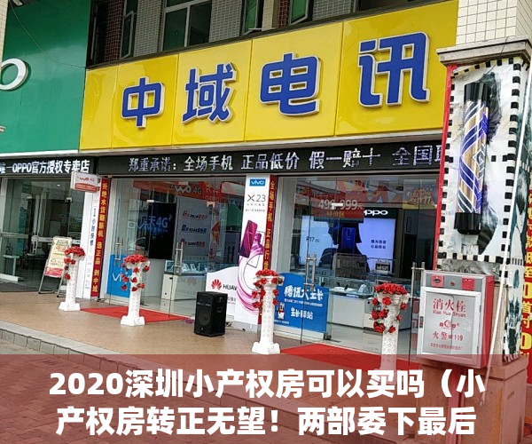 2020深圳小产权房可以买吗（小产权房转正无望！两部委下最后通牒，深圳小产权房还能买吗）