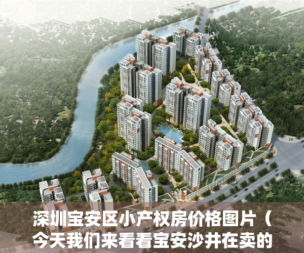 深圳宝安区小产权房价格图片（今天我们来看看宝安沙井在卖的10个村委统建楼农民房小产权房）