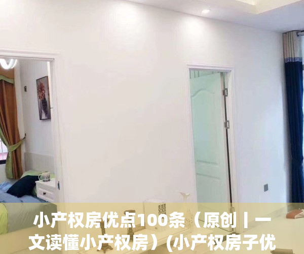 小产权房优点100条（原创丨一文读懂小产权房）(小产权房子优缺点)