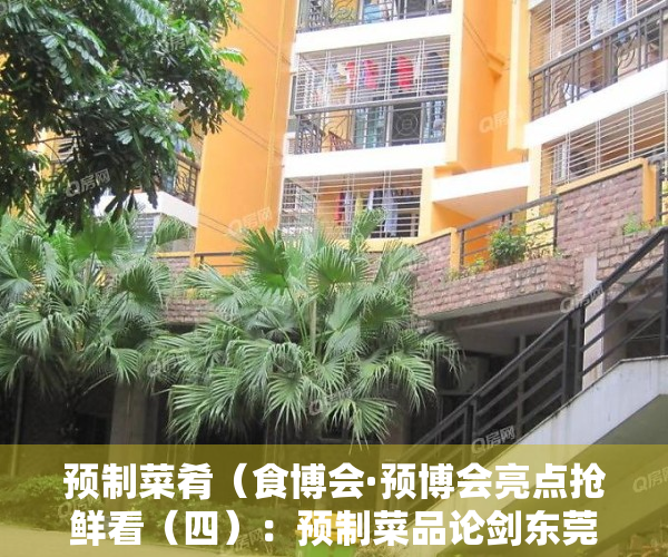 预制菜肴（食博会·预博会亮点抢鲜看（四）：预制菜品论剑东莞，百亿订单蓄势待发）