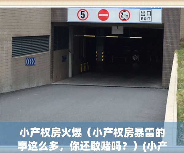 小产权房火爆（小产权房暴雷的事这么多，你还敢赌吗？）(小产权房突爆火)