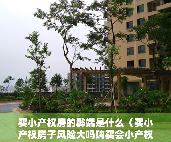 买小产权房的弊端是什么（买小产权房子风险大吗购买会小产权房有什么风险）