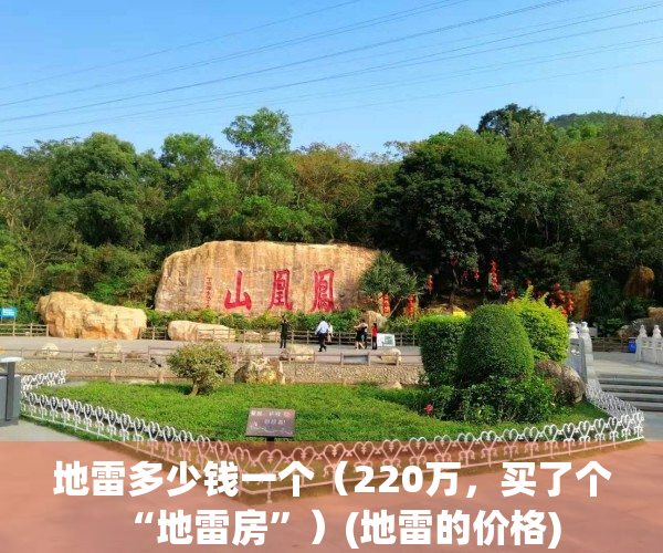 地雷多少钱一个（220万，买了个“地雷房”）(地雷的价格)
