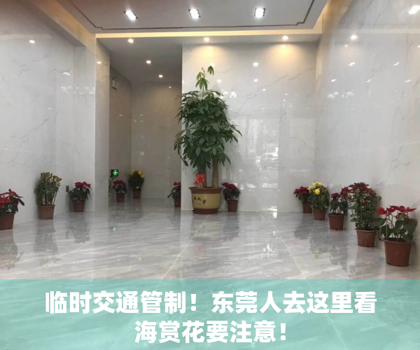 临时交通管制！东莞人去这里看海赏花要注意！