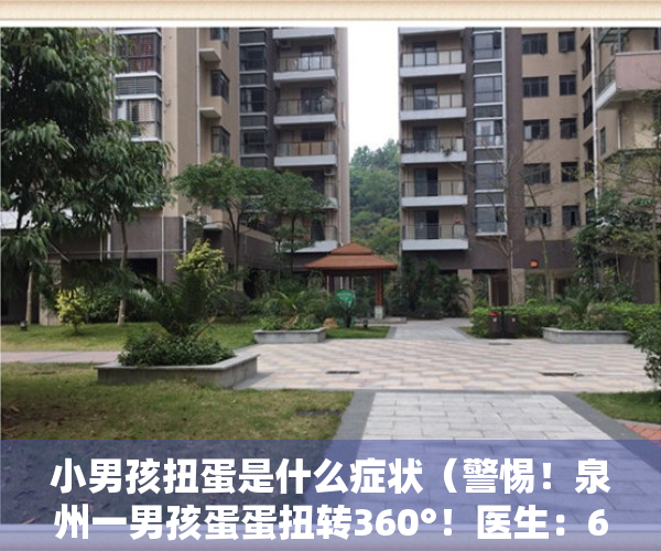 小男孩扭蛋是什么症状（警惕！泉州一男孩蛋蛋扭转360°！医生：6小时是黄金救援时间）