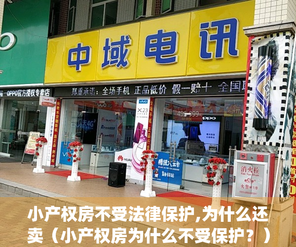 小产权房不受法律保护,为什么还卖（小产权房为什么不受保护？）(小产权房为什么不能合法化)