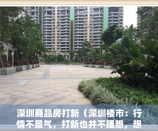 深圳商品房打新（深圳楼市：行情不景气，打新也并不理想，想置换房子，该怎么办？）