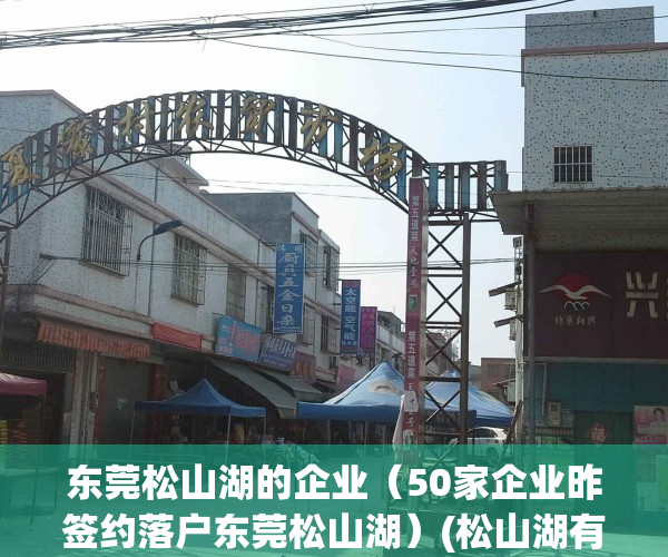 东莞松山湖的企业（50家企业昨签约落户东莞松山湖）(松山湖有那些企业)
