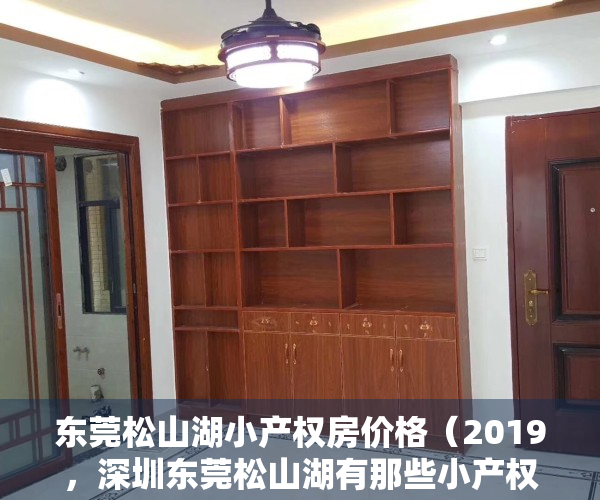 东莞松山湖小产权房价格（2019，深圳东莞松山湖有那些小产权房最值得购买？）