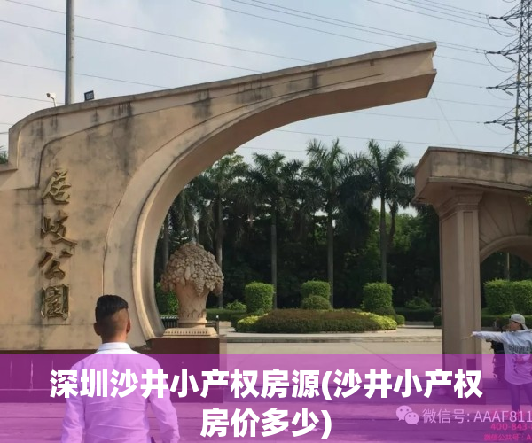 深圳沙井小产权房源(沙井小产权房价多少)