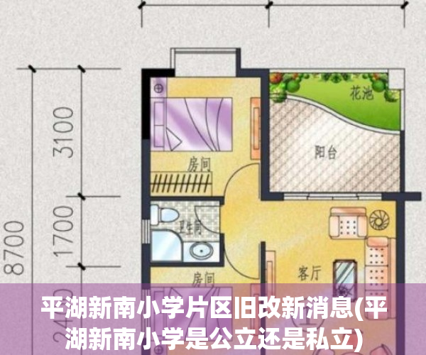 平湖新南小学片区旧改新消息(平湖新南小学是公立还是私立)