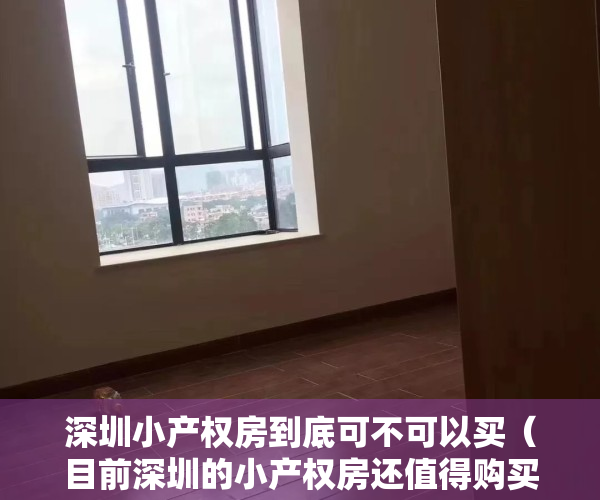 深圳小产权房到底可不可以买（目前深圳的小产权房还值得购买吗？-华盟地产）