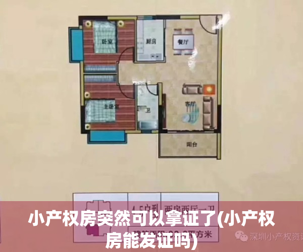 小产权房突然可以拿证了(小产权房能发证吗)